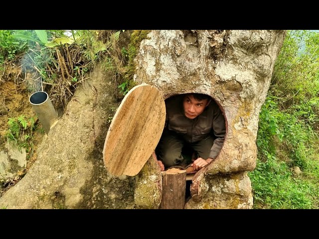 Build a shelter in a safe and mysterious giant seedling - Tropical Forest