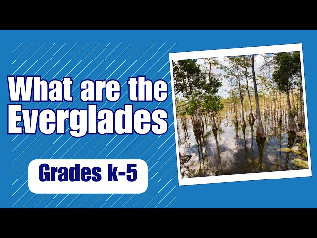 What are they Everglades