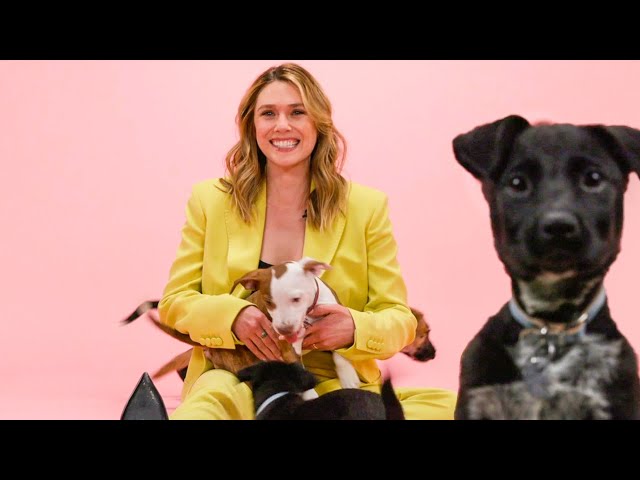 Elizabeth Olsen: The Puppy Interview