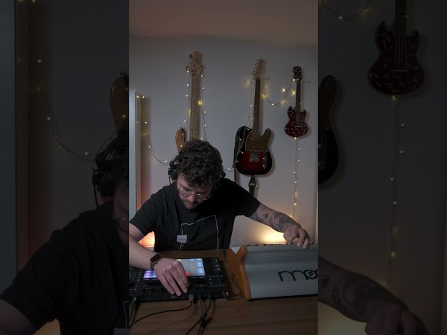 How to transition in a live set | Part 2  #liveset #melodichouse #synthesizer