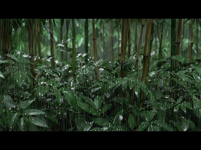 Raindrop Symphony: Nature's Lush Serenade
