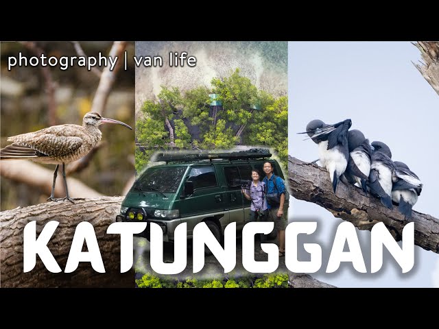 VAN LIFE: Birds of Katunggan Park | CAMIGUIN