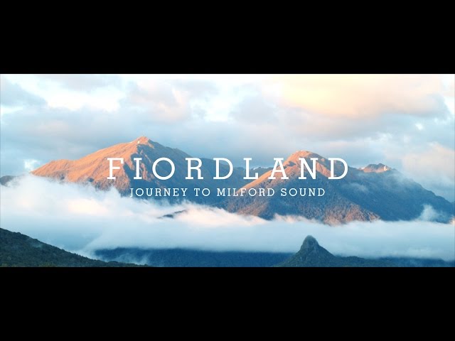 Fiordland | Journey to Milford Sound
