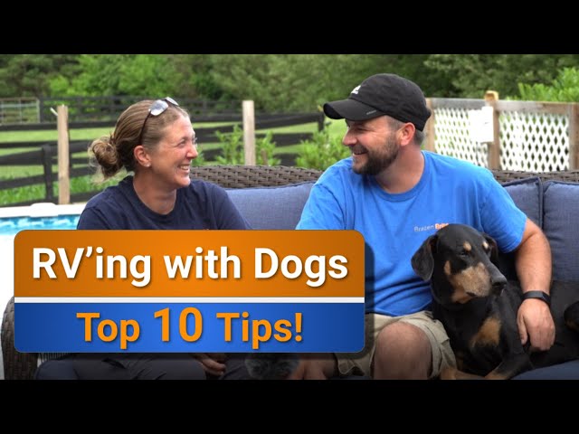 RV Living with dogs - Our Top 10 tips!