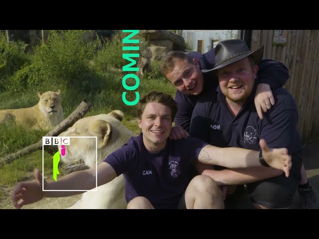 TRAILER: One Zoo Three Series 2 Coming Soon!