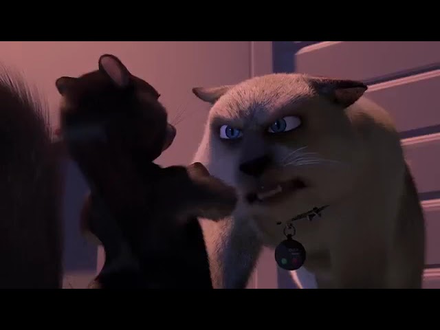 Over The Hedge (2006) Stella The Cat