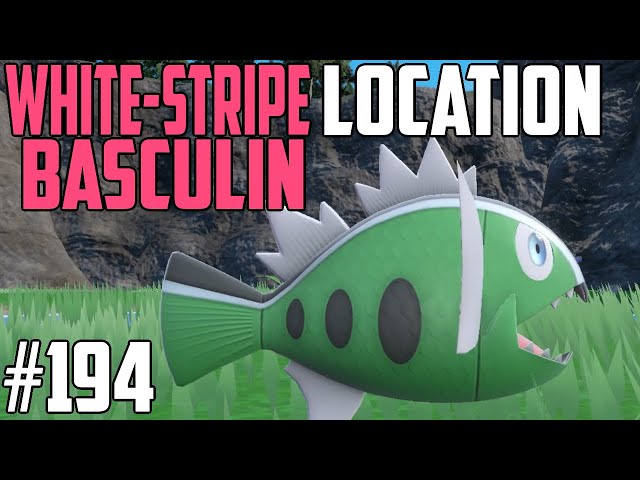 How to Catch White-Stripe Basculin - Pokémon Scarlet & Violet (DLC)