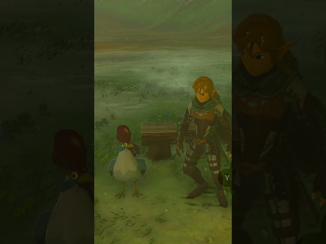 This is what HYRULE looks like without CEL SHADING