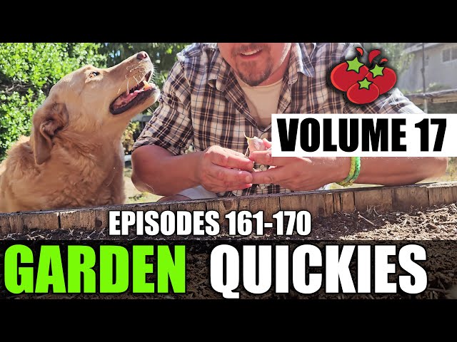 Garden Quickies Volume 17 - Episodes 161 to 170