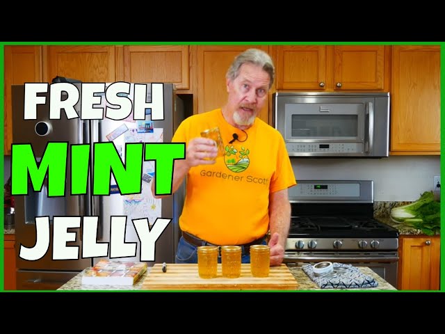 Make Mint Jelly (From Fresh Mint Leaves)
