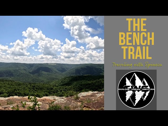 The Bench Trail