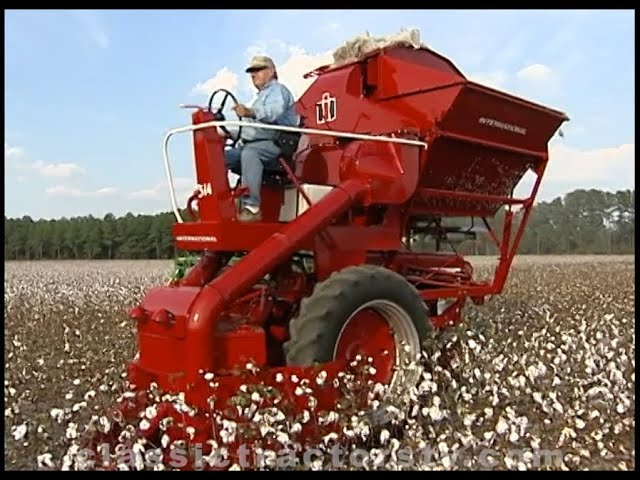 Picking Cotton With A 1961 International Harvester 314 Picker Mounted On An IH 504 Diesel Tractor