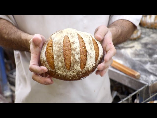 The science of sourdough bread