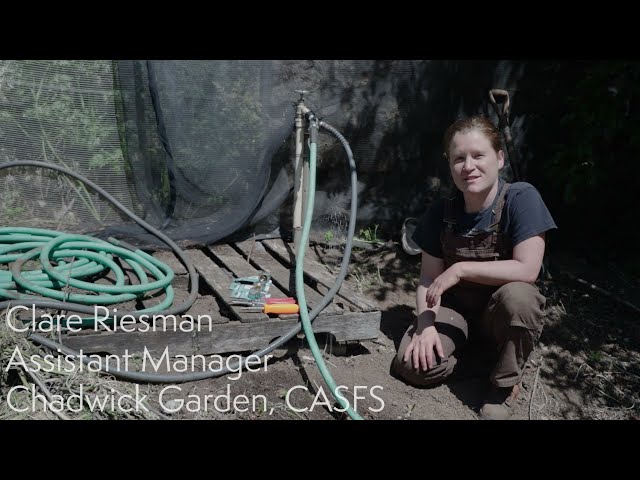 Repairing a Garden Hose with Clare Riesman