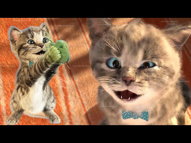 FUNNIEST CATS LITTLE KITTEN ADVENTURE - PLAY CAT CARE GAMES FOR BABY TODDLERS AND FOR KIDS #1009