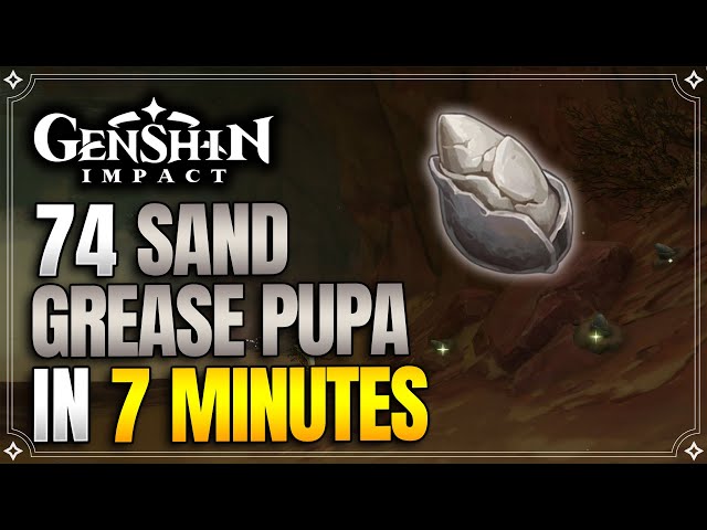 Sand Grease Pupa Locations | Fast and Efficient Farming Route | Ascension Materials【Genshin Impact】