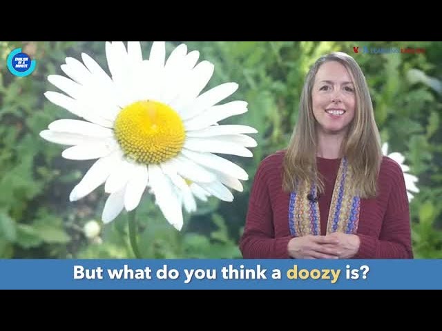 English in a Minute: Doozy