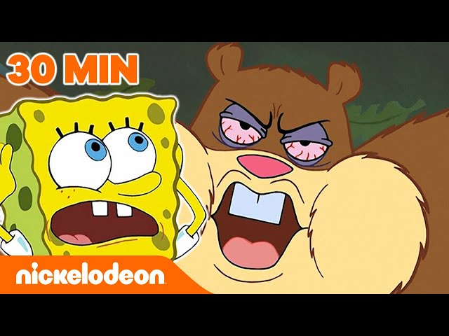 SpongeBob | 30 MIN. najdziwniejszych momentów Sandy! | Nickelodeon Polska