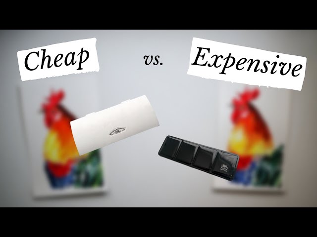 Are expensive watercolors worth it? A side-by-side comparison (+ surprising results)