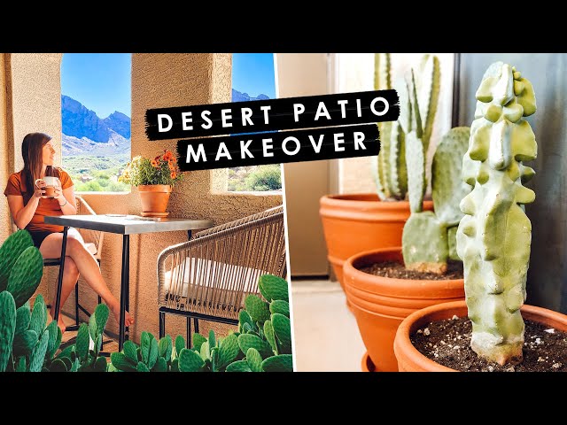 SMALL PATIO MAKEOVER | DIY Desert & Cactus Apartment Patio | Tucson Plant Haul