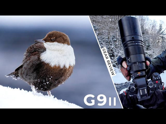 Review of the Panasonic Lumix G9II (vs. OM-1) | Gear Review | Hands-On Field Test