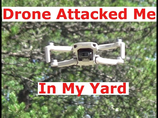 A Drone Attacked Me In Front Of My Home