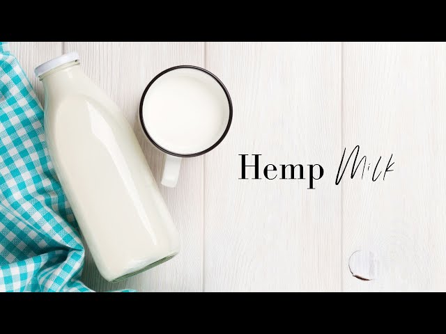 How To Make Hemp Milk In Just 5 Minutes