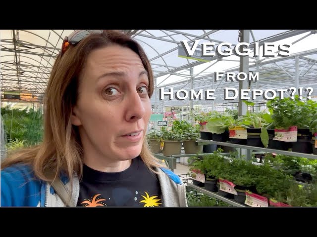 Bad Idea?!? Should you buy Veggies from Home Depot