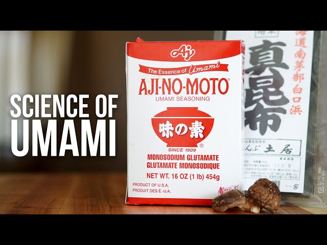 Everything You Need to Know About Umami and How to Make Umami Bombs