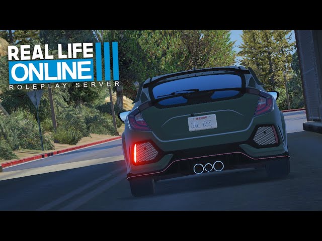 BIS ANS LIMIT!  - Real Life Online 3.0