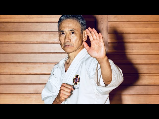 Can't believe!  Mysterious technique of Shorinjikempo and Karate