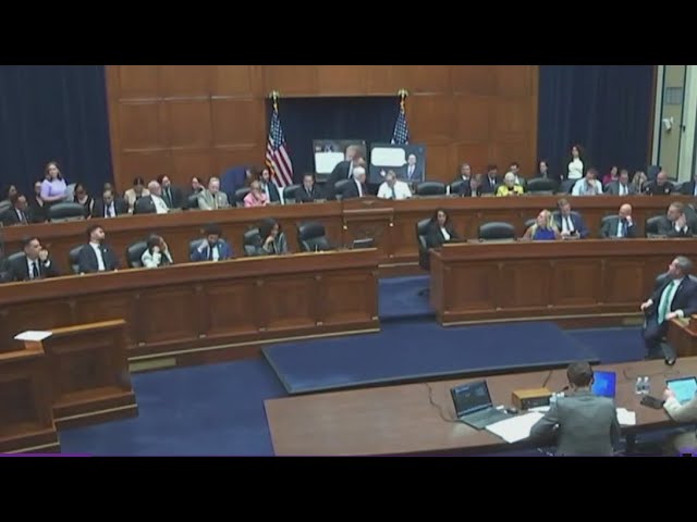 US House hearing turns into roast session between Rep. Crockett, Greene