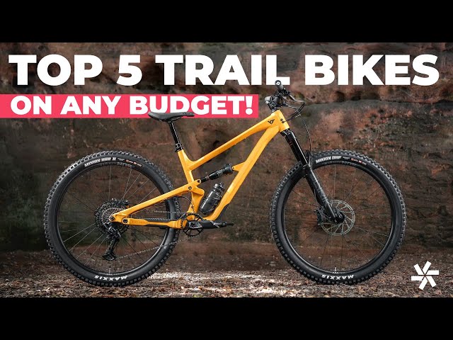 Top 5 Trail Bikes on Any Budget!