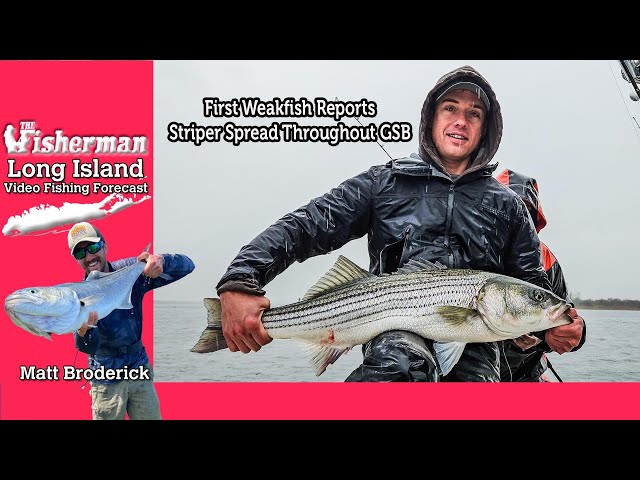 April 25th 2024 Long Island Metro Fishing Report with Matthew Broderick