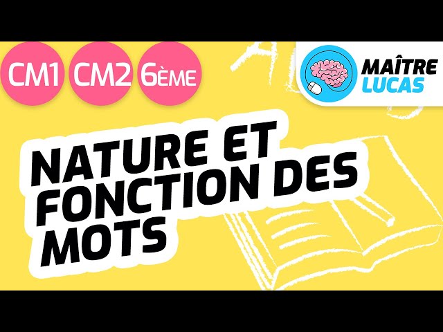 Les natures et les fonctions des mots CM1 - CM2 - 6ème - Cycle 3 - Français, Grammaire