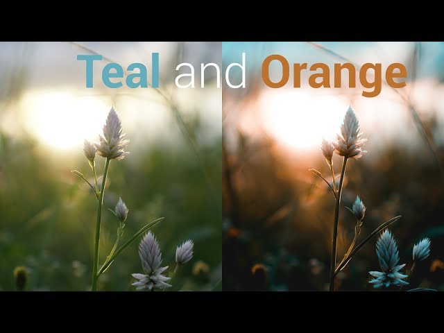 How to create "TEAL and ORANGE" look in Premiere Pro