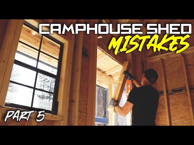 The windows and doors don't fit! // Shed Part 5