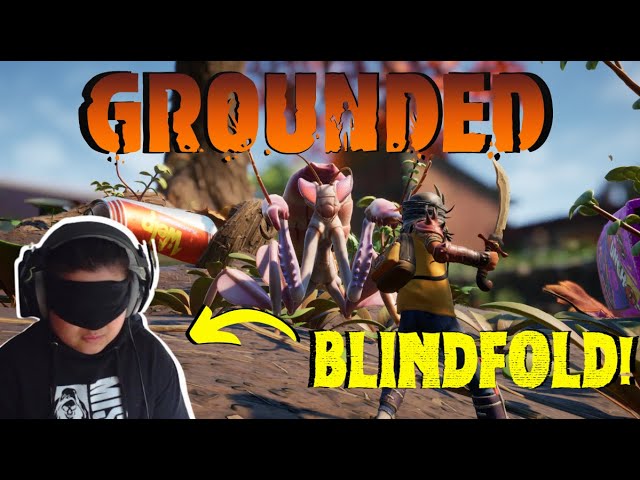 I Try the BLINDFOLD Challenge | Grounded