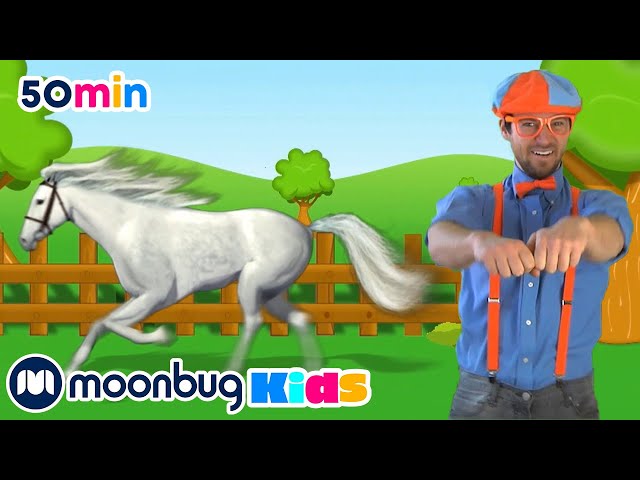 Learn About Horses! | Blippi | Learning Videos For Kids | Education Show For Toddlers