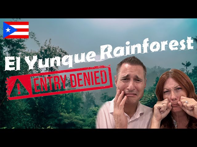 We were DENIED entry into the El Yunque Rainforest in Puerto Rico #emptynester #travel #puertorico