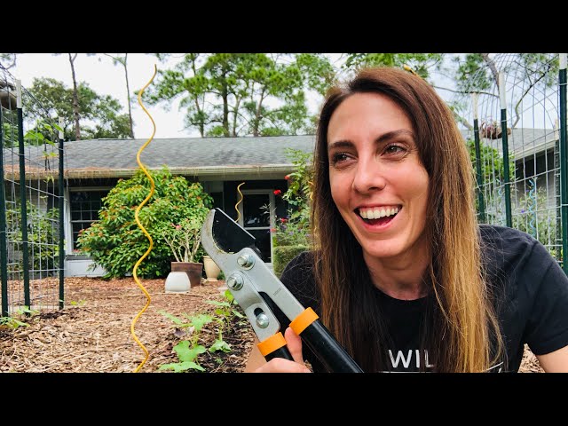Essential Garden Tools I would(n't) buy for Florida Gardening | Holiday Gift Ideas for Gardeners