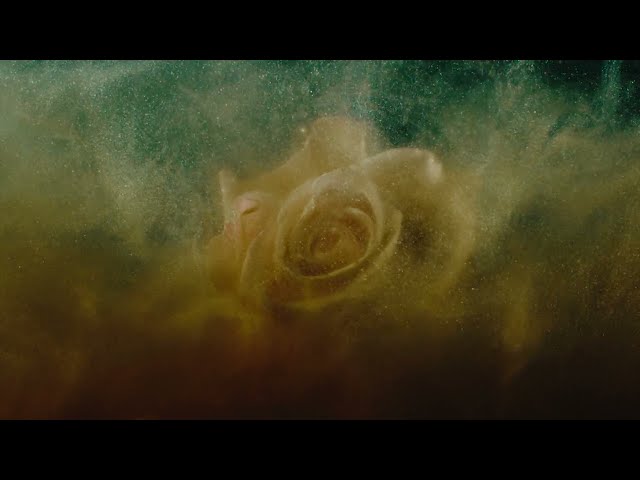 Imminence - Heaven in Hiding [Visual Experience]