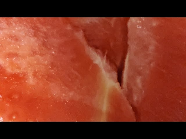 warning! bad sweet baby watermelon. DONT EAT!!