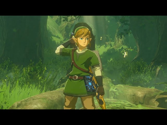 getting the fully upgraded master sword in modded botw