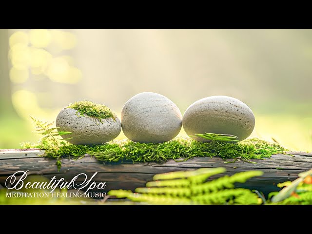 Healing Inner anger and Sorrow Removal, Ultra Relaxing Music for Stress, Relaxation Music