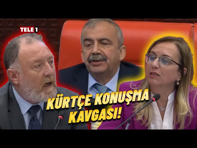 Meclis'te Kürtçe konuşuldu! MHP'li vekil Sırrı Süreyya Önder'den mikrofonu kapatmasını istedi