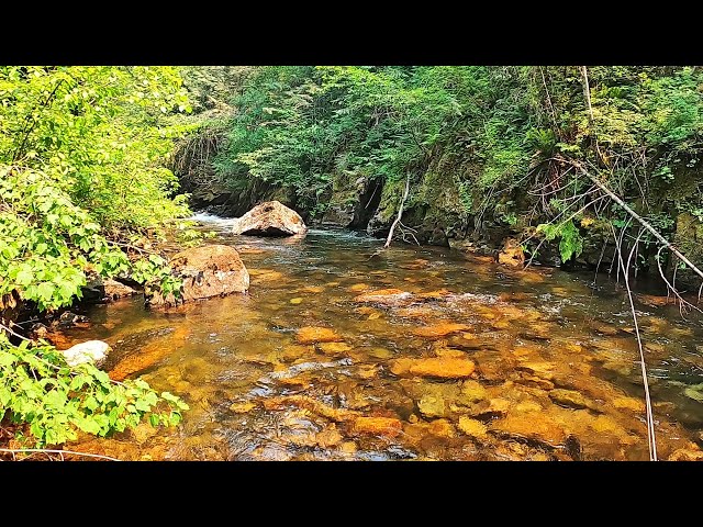 Part 21- This state is the BEST KEPT SECRET in the fly fishing world!