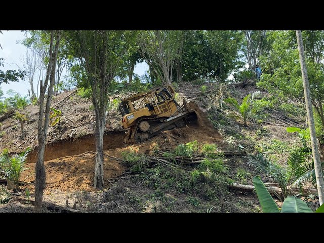 this It's terrible! CAT D6R XL Bulldozer Builds Roads on Mountain Slopes