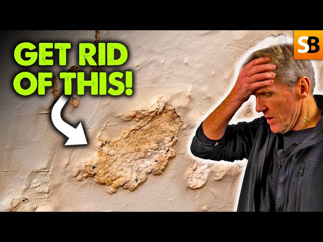 Say Goodbye to Rising Damp - A Simple Solution!