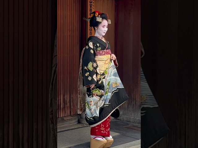 祇園甲部で舞妓さんがデビュー #京都 #舞妓